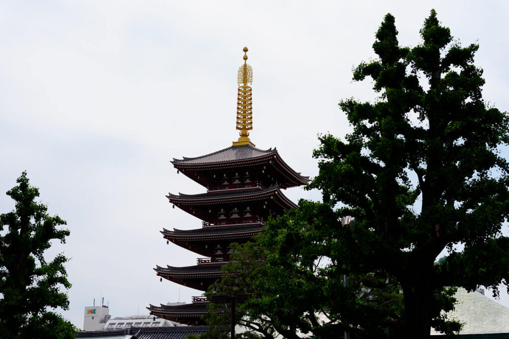 BCI_Japan2025_0515_121